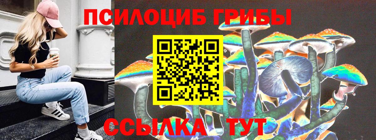 Галлюциногенные грибы Cubensis Егорьевск