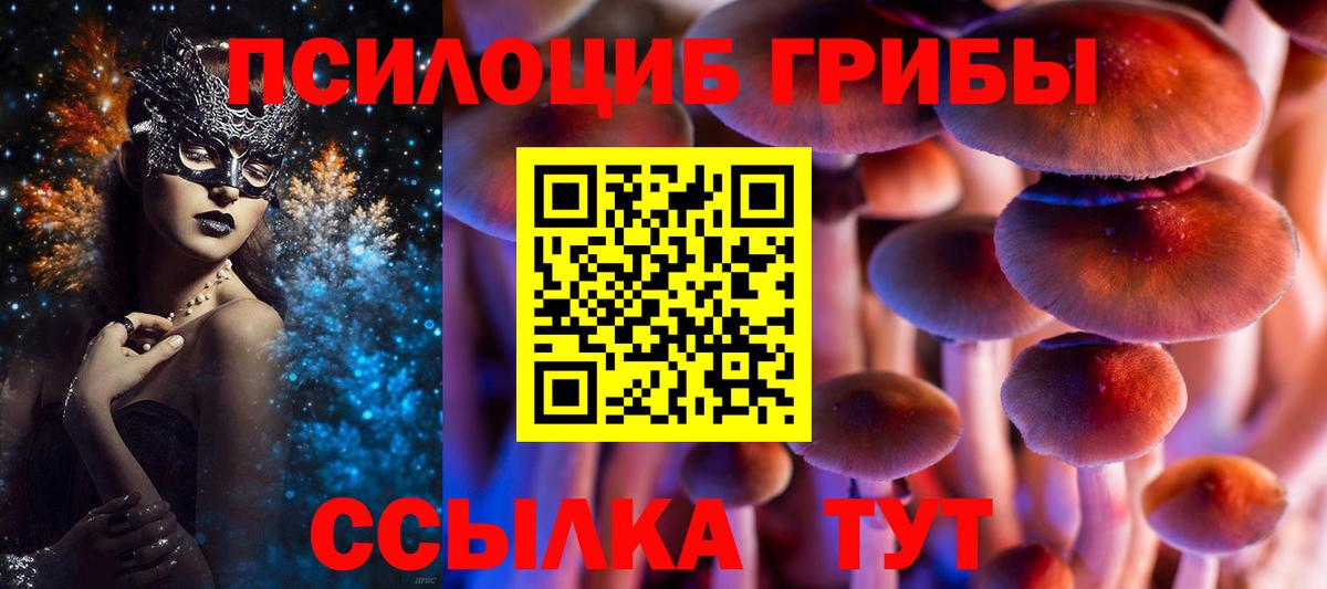 Егорьевск  Галлюциногенные грибы прущие грибы  Вход с VPN  Галлюциногенные грибы мухоморы 